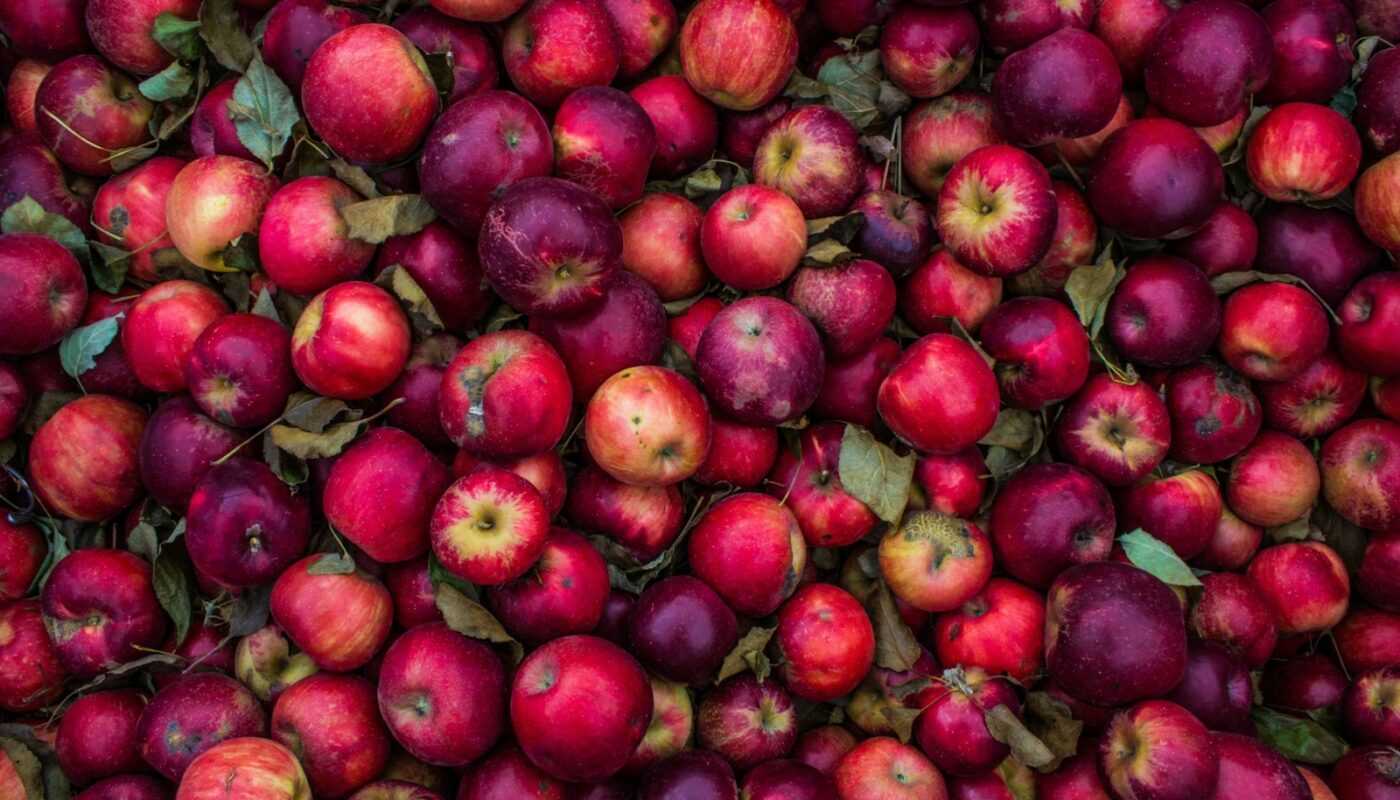 lot de pommes