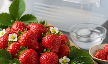 découvrez pourquoi vos fraises pourrissent rapidement et suivez 7 astuces efficaces pour les garder fraîches plus longtemps. profitez de fraises savoureuses et évitez le gaspillage grâce à ces conseils pratiques !